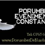 Porumbei Evenimente Constanta profile picture