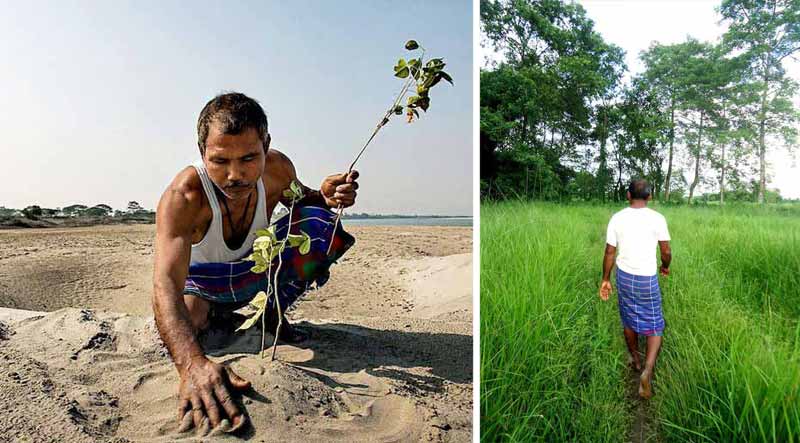 Bărbatul care a transformat deşertul în pădure, plantând copaci timp de 40 de ani