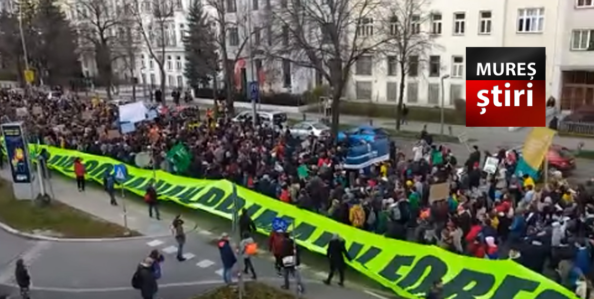 ACUM în VIENA: Protest pentru SALVAREA pădurilor din România! VIDEO | Comunitate • Stiri • Civism • Video • Mures • Ardeal