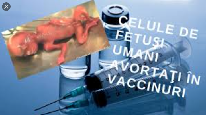 Celulele de fetuși avortați și vaccinurile Covid: teorie a conspirației sau adevăr? – Europa News