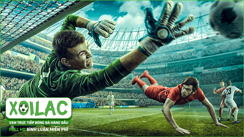 Xoilac TV - Trực tiếp bóng đá HD mới nhất - Không quảng cáo