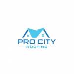 Pro City Roofing