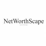 net worthscape