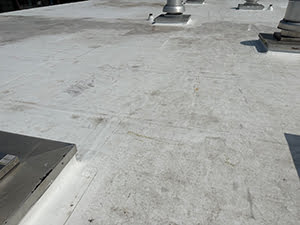 About Commercial Roofing - Shark Roofing Systems