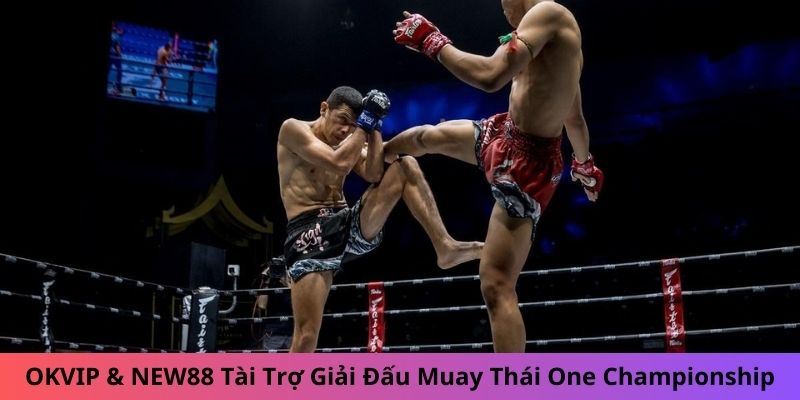 OKVIP & NEW88 Tài Trợ Giải Muay Thái One Championship