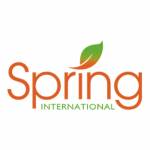 Spring College International