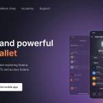 solflare wallet