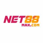 Net88 Maxcom