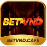 betvnd Cafe