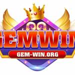 GEMWIN