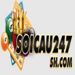 Soi Cau 247