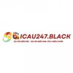 soicau247 black