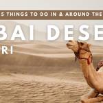 dubaidesertsafari