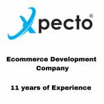 Ecommerce Company