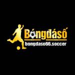 bongdaso66 soccer