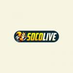 Socolive Kurdistaninvestment