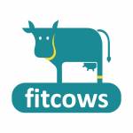 Fitcows solution