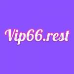 Vip 66