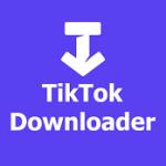 ssstikdownloader